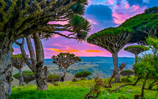 Socotra a Saudská Arábie